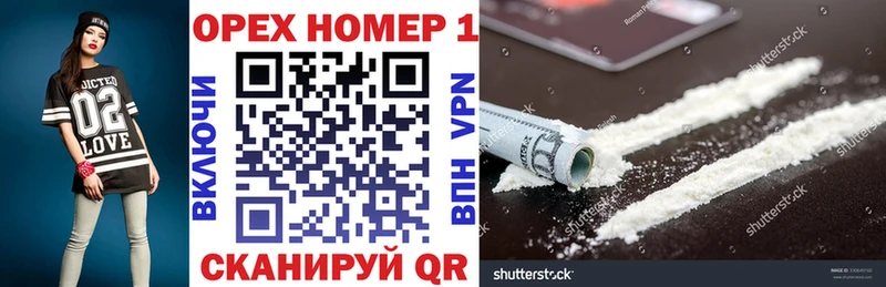 Купить Шенкурск A-PVP  ГАШИШ  COCAIN 