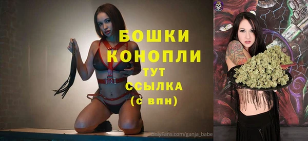 гашик Липки
