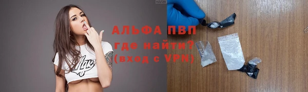 гашик Липки
