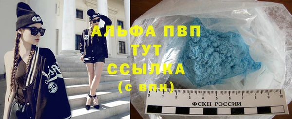 гашик Липки